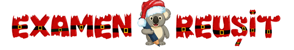 www.examenreusit.ro